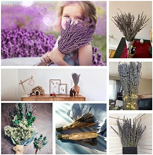 Uieke Dried Lavender Bundles 150 Stems 15-17 Inch