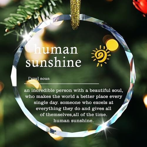 Human Sunshine Motivational Glass Hanging Ornament for Car and Office Decor