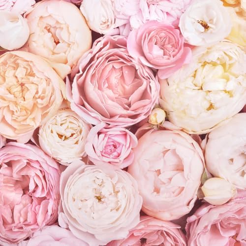 Empire Candle Beach Rose Scented Jar Candle 12oz