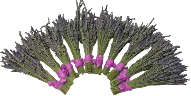 L Lavender Dried Flower Bundles 14-16 Inches Natural