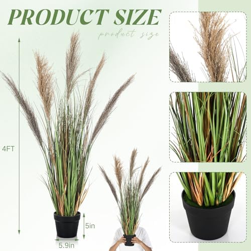 Jexine 2 Pcs Artificial Pampas Grass Plants 4ft Tall Decorative Greenery for Home Office