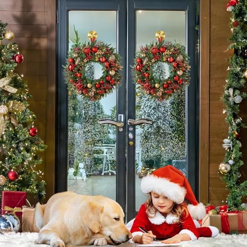 2 Pack Gold Wreath Hanger with 22LB Suction Cup Hooks for Decor