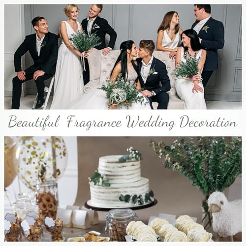 60 Pcs Dried Eucalyptus Stems 17inch for Home Decor and Wedding Vase