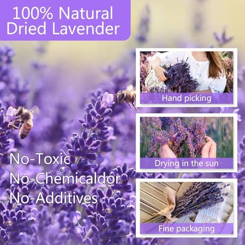 Uieke Dried Lavender Bundles 150 Stems 15-17 Inch