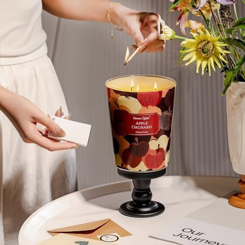 HomeLights Large Jar Candle 3 Wick Long Lasting Scented Candles