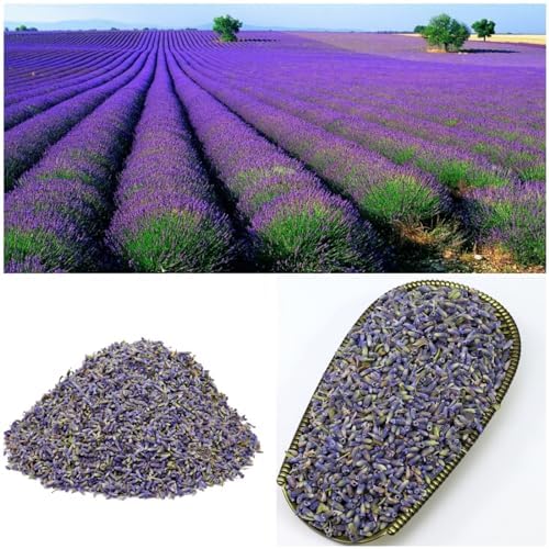 100 Natural Dried Lavender Buds 7oz for Crafts and Decor