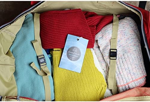 Divina Esencial 4-Pack Ocean Breeze Sachets for Closets and Drawers