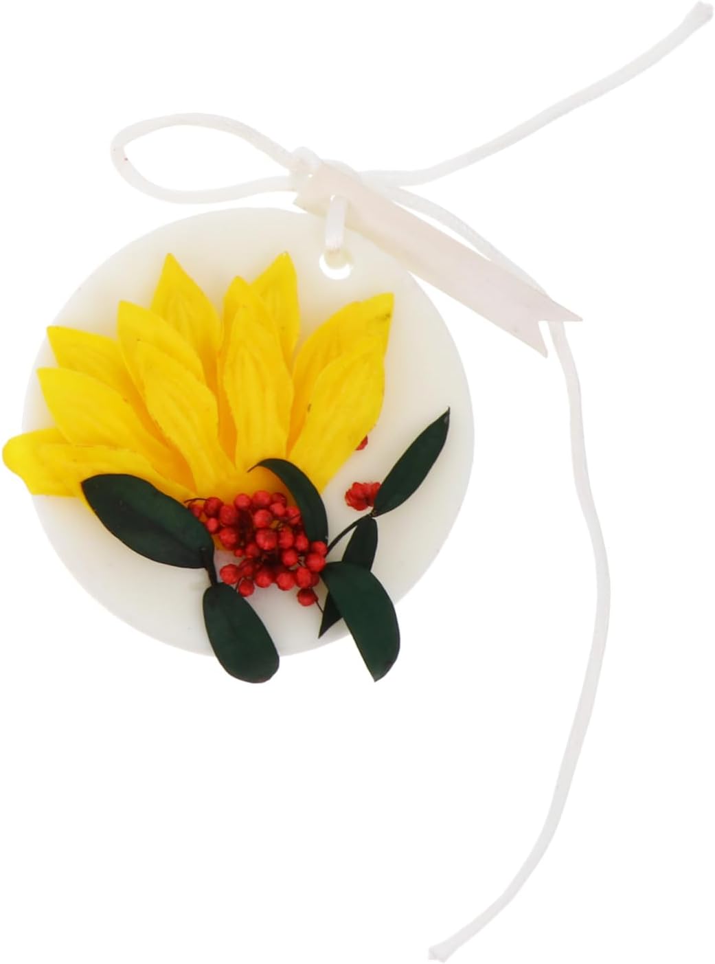 Aromatherapy Bag for Home Closet Freshener