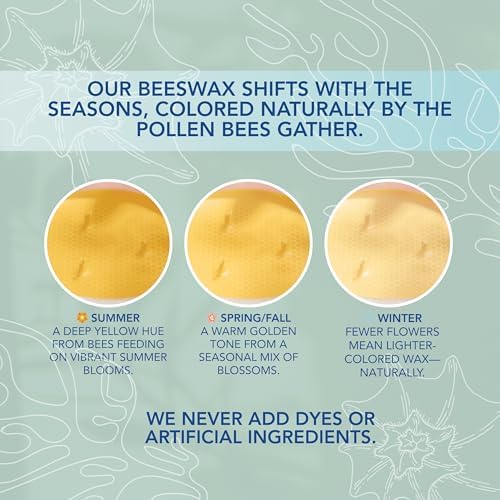 Coastal Breeze Yuzu Sea Salt Beeswax Candle 15 oz