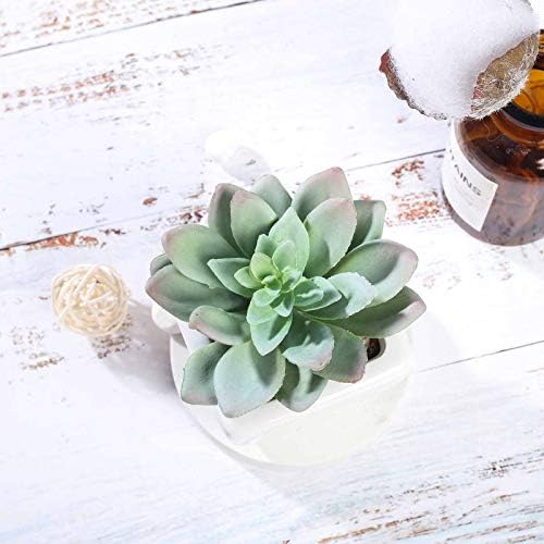 Balsa Circle Artificial Echeveria Plants Set of 3