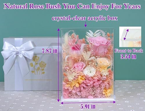 Valley of Rain Forest Preserved Rose Bush for Love and Home Decor
