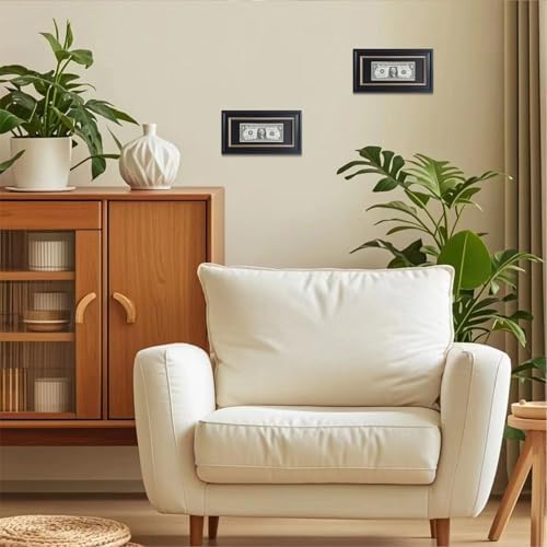 Dollar Bill Frame with Black Mat or Display 4x9 Picture Without Mat