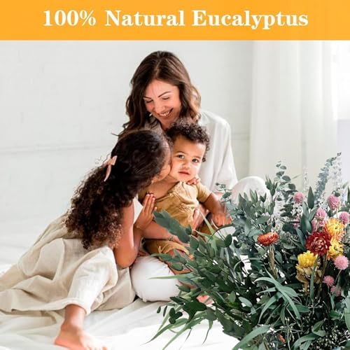129 Pc Dried Eucalyptus Stems with Lavender Bundle