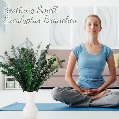 60 Pcs Dried Eucalyptus Stems 17inch for Home Decor and Wedding Vase