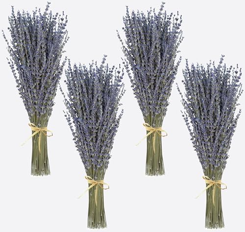 Dried Lavender Bouquet 4 Bunches 15-17 Inch Aromatherapy Decor