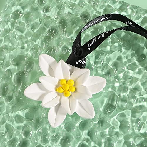 Byvute 3Pcs Hanging Flower Scented Sachets for Car Closet Drawer