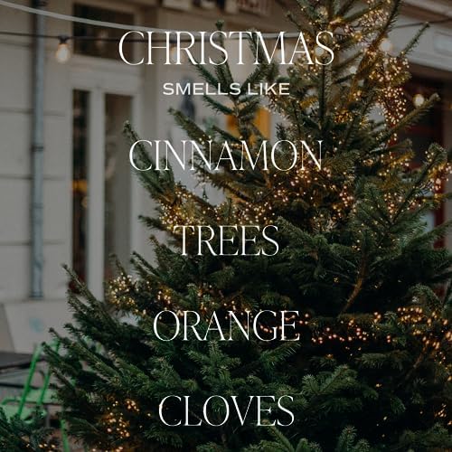 Sweet Water Decor Christmas Candle with Cinnamon and Clove Scents