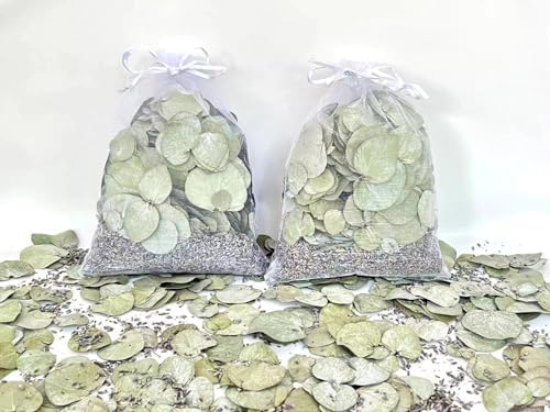 Eucalyptus Lavender Dried Plants 2 Pack Bath Pouches