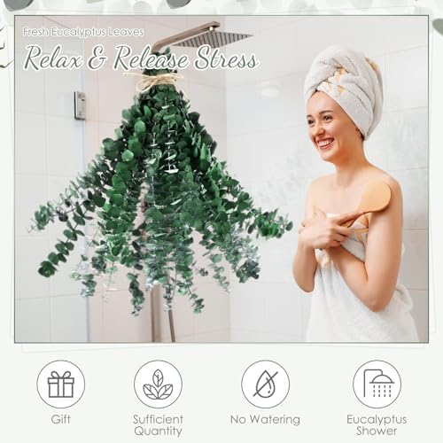 60 Pcs Dried Eucalyptus Stems 17inch for Home Decor and Wedding Vase