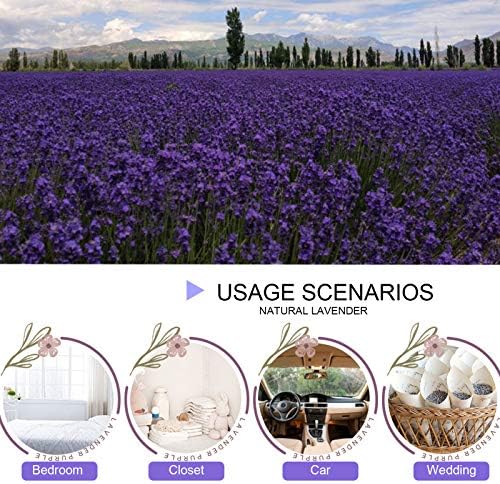 Dried Lavender Flowers 1 Pound for Crafts and Wedding Toss
