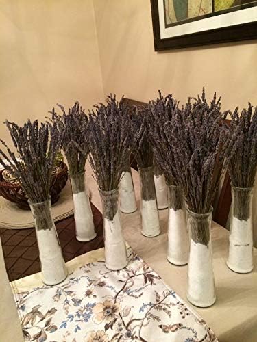 L Dried Lavender Bundles 6-Pack Natural Home Decor