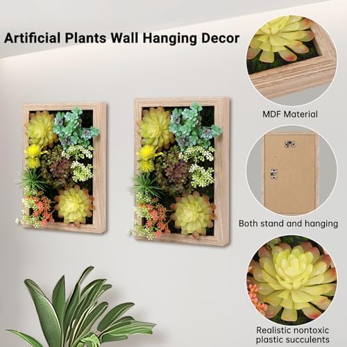 3D Artificial Succulent Floral Frame for Desk and Wall Decor