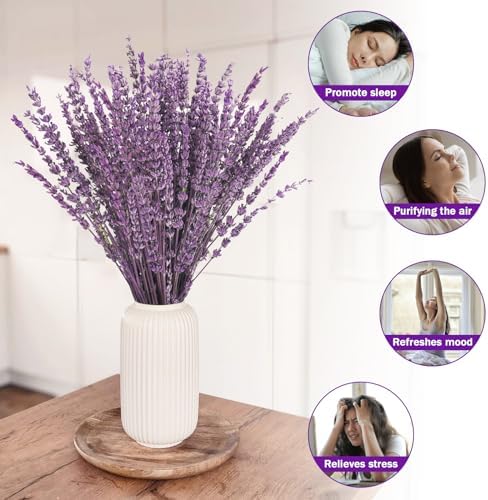 Uieke 12Pack Dried Lavender Flowers Bouquet