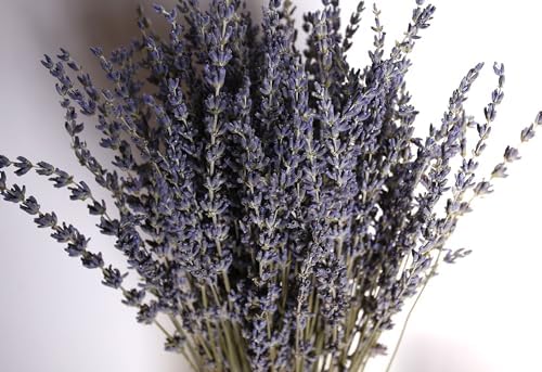 Dried Lavender Bouquet 4 Bunches 15-17 Inch Aromatherapy Decor