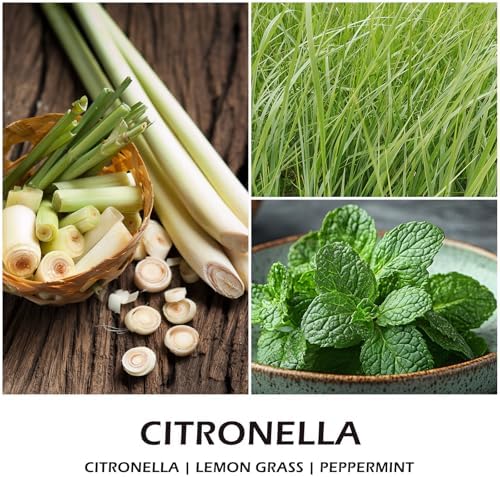 Citronella Scented Soy Jar Candle 7oz for Outdoor and Home Use
