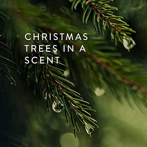 Thymes Heritage Pine Needle 3 Wick Candle - 115 Oz