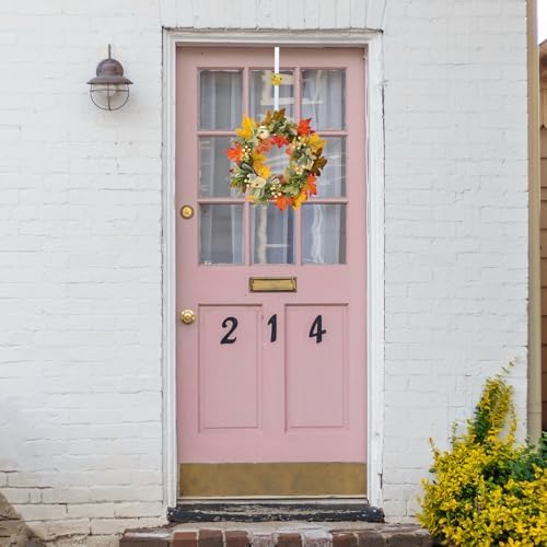Over The Door Wreath Hanger with 2 Decorative Magnets