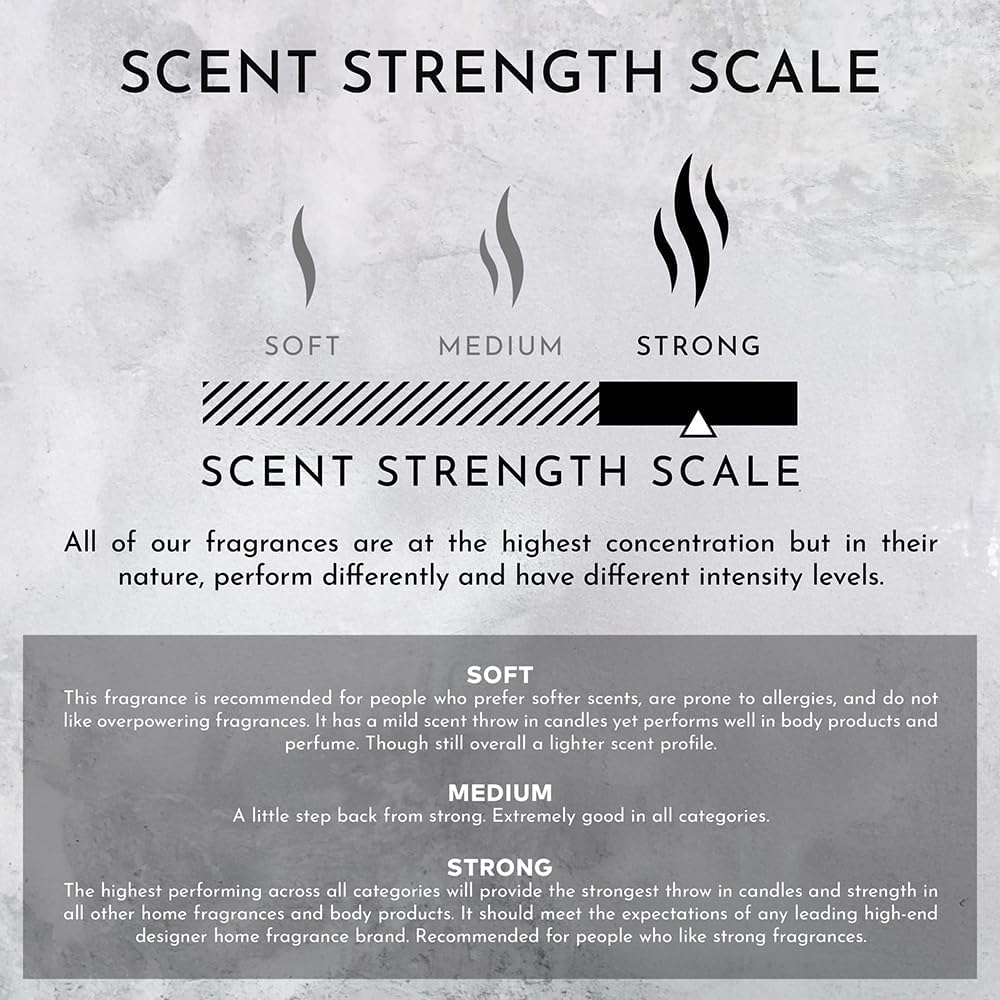 Stone Candles Environment Inspired by LHomme Candle 55oz Luxury Coconut Apricot