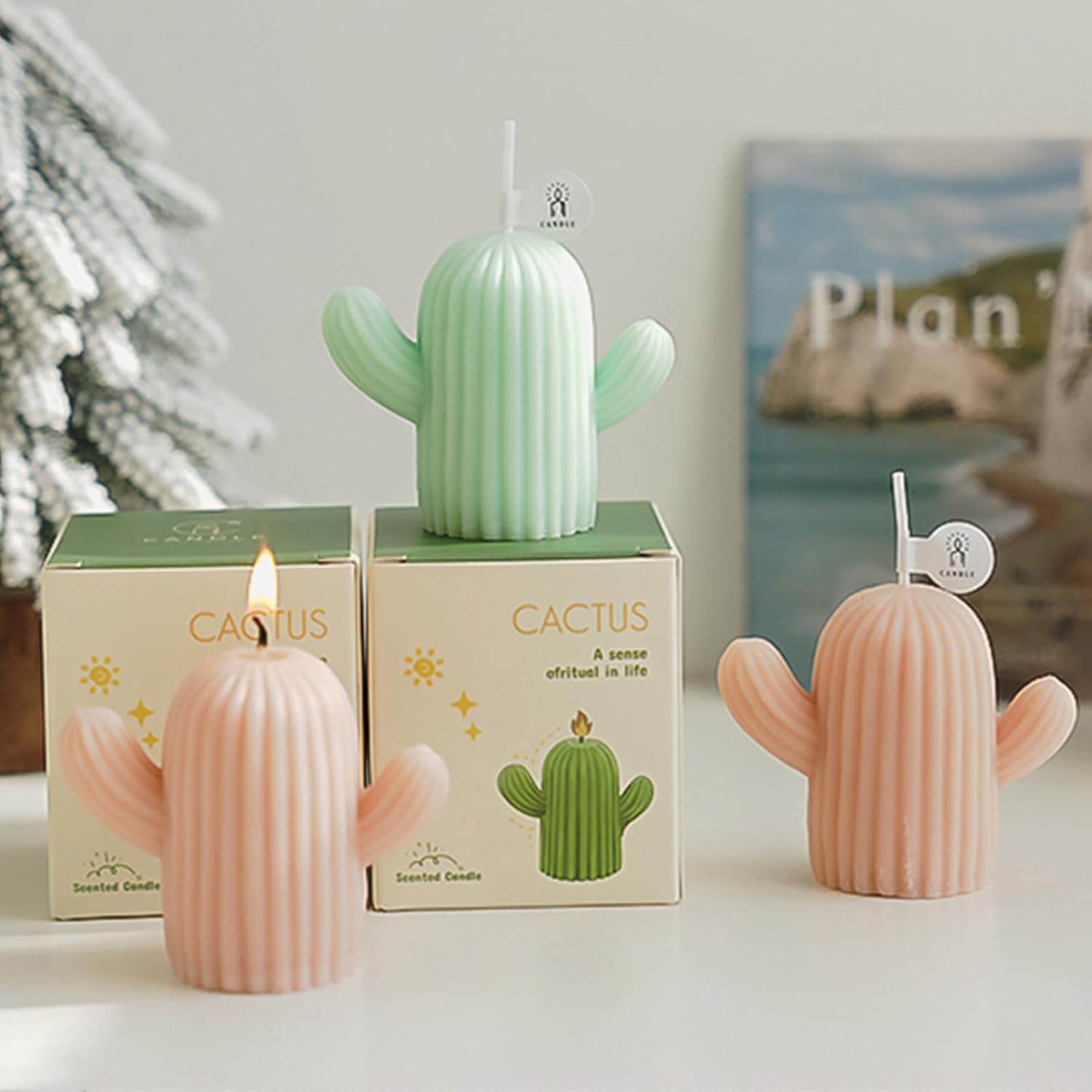 Cactus Shaped Candles with 4 Scents and Colors