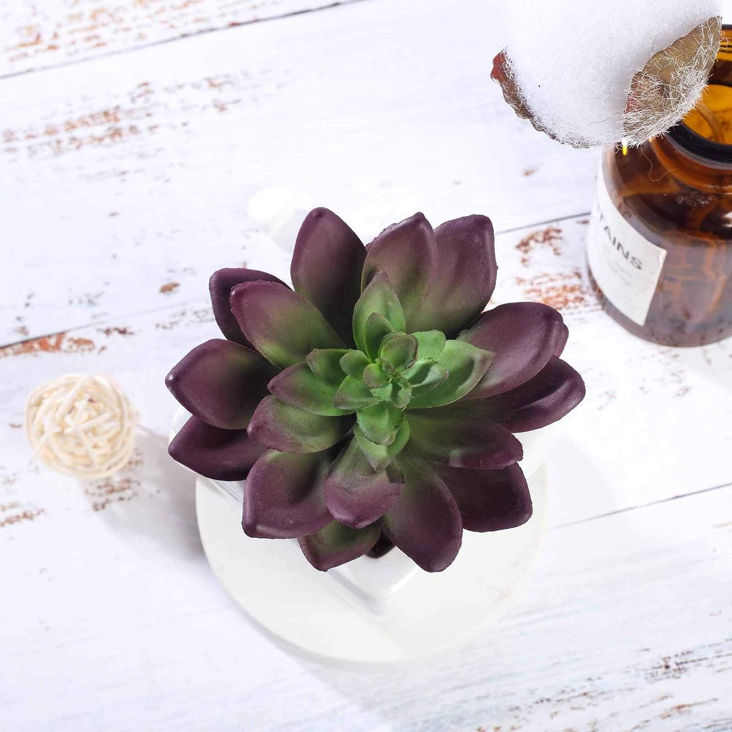 Balsa Circle Artificial Echeveria Plants Set of 3