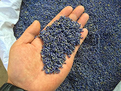 TooGet Fragrant Lavender Buds Natural Dried Flowers 2 Pound