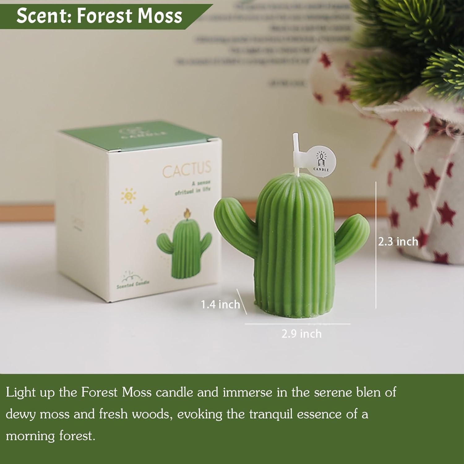 Cactus Shaped Candles with 4 Scents and Colors
