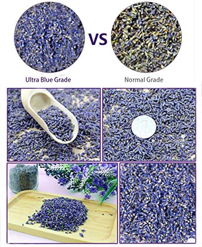 TooGet Fragrant Lavender Buds Natural Dried Flowers 2 Pound