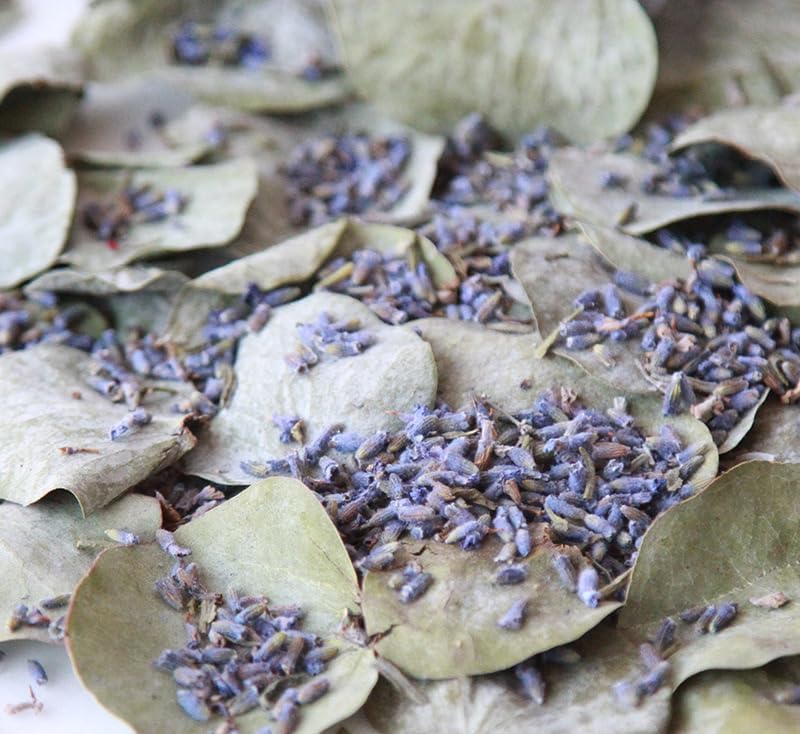 Eucalyptus Lavender Dried Plants 2 Pack Bath Pouches