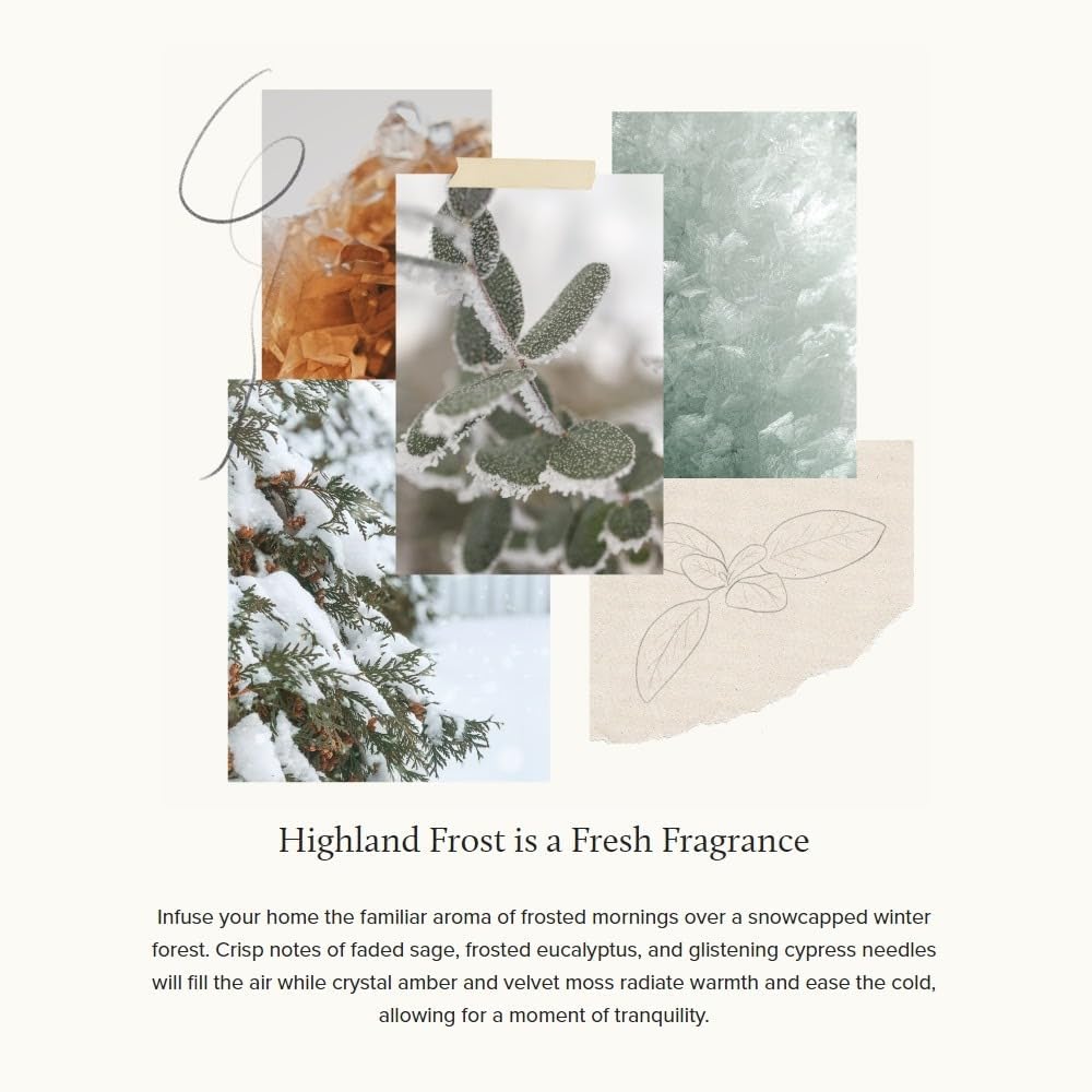 Thymes Highland Frost Jar Candle 65 oz