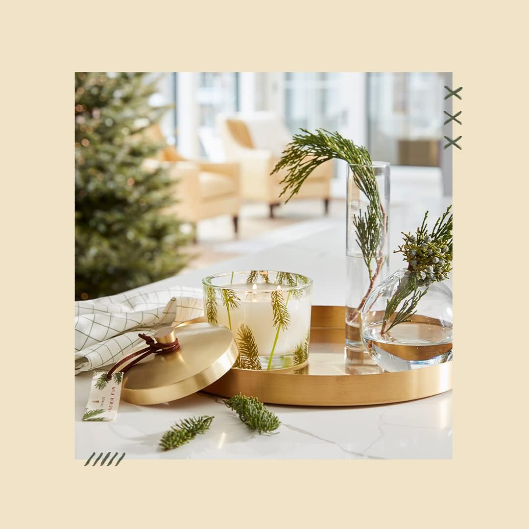 Thymes Heritage Pine Needle 3 Wick Candle - 115 Oz