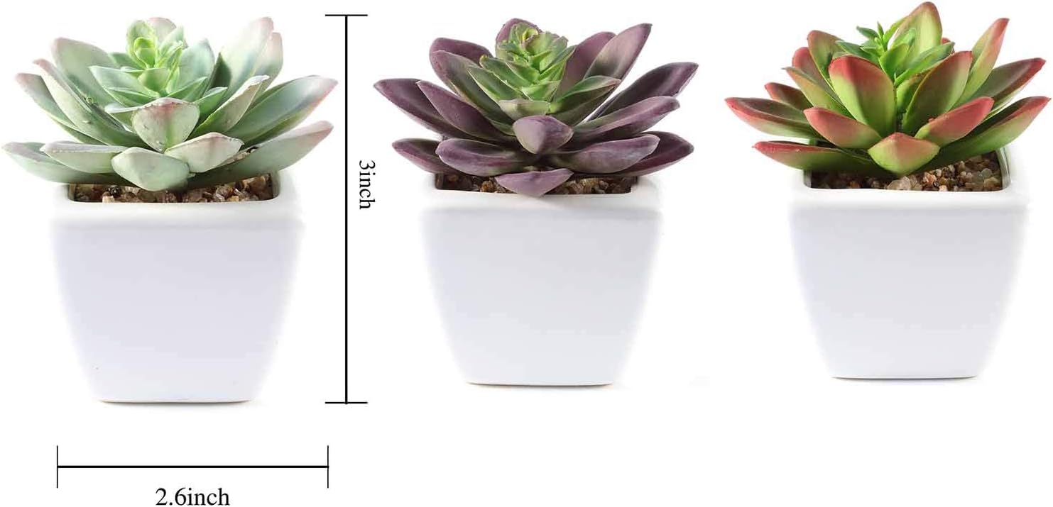 Balsa Circle Artificial Echeveria Plants Set of 3