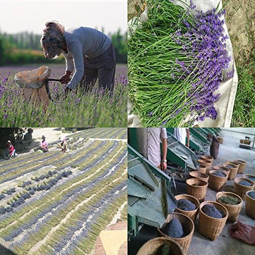 TooGet Fragrant Lavender Buds Natural Dried Flowers 2 Pound