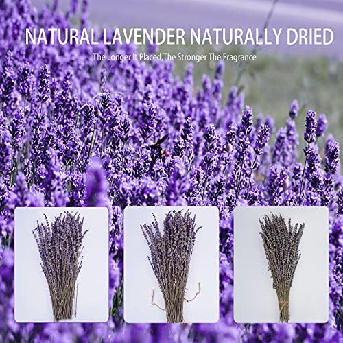 Uieke Dried Lavender Bundles 150 Stems 15-17 Inch