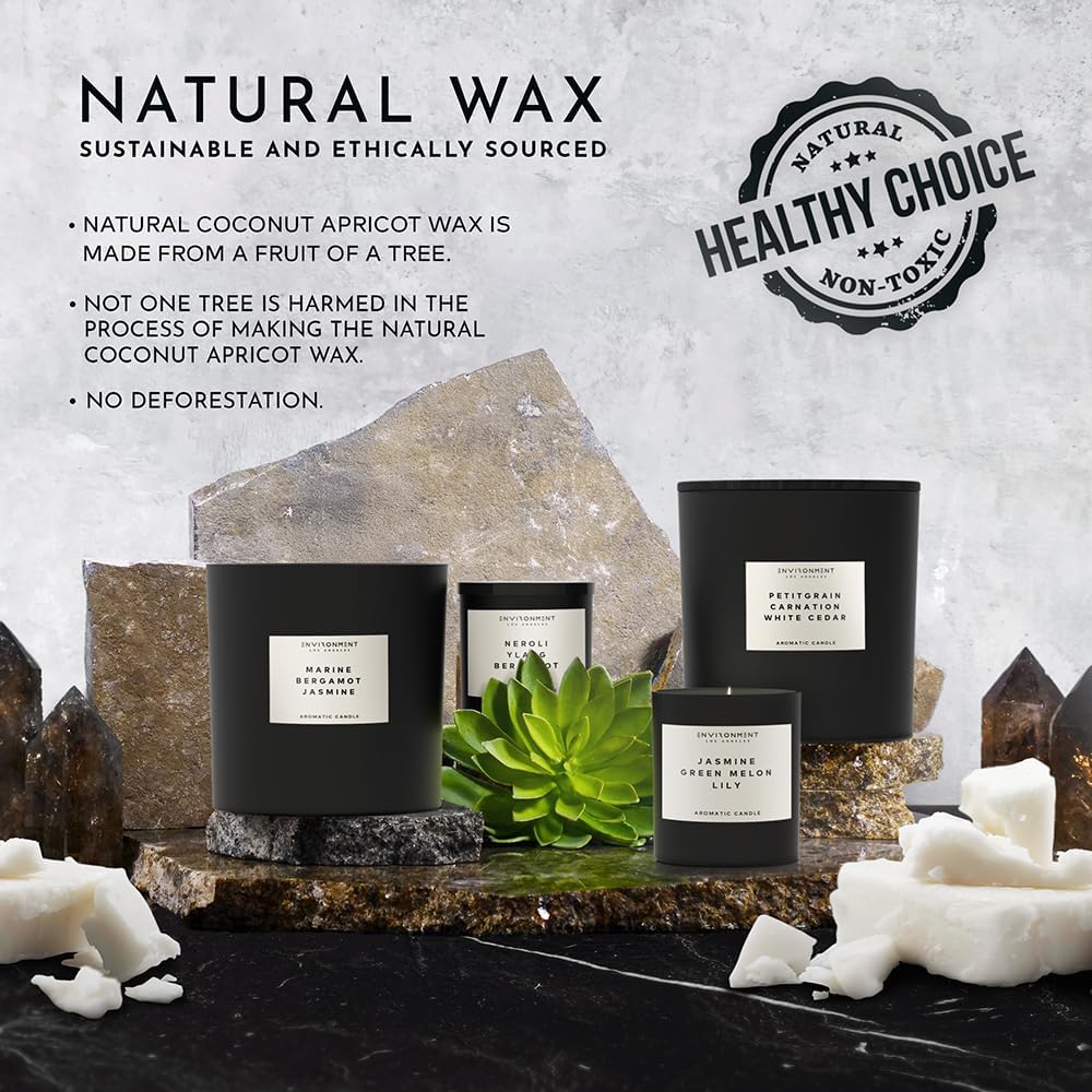 Stone Candles Environment Inspired by LHomme Candle 55oz Luxury Coconut Apricot