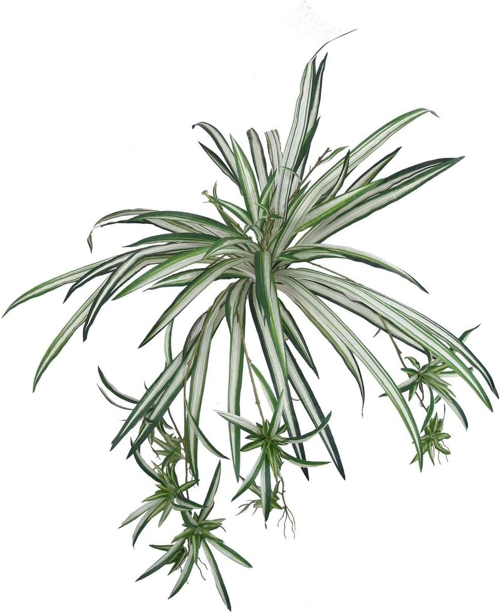 Floral Home Silk Spider Plants Pack of 2