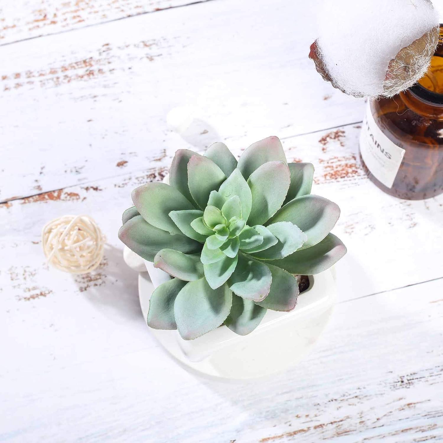 Balsa Circle Artificial Echeveria Plants Set of 3