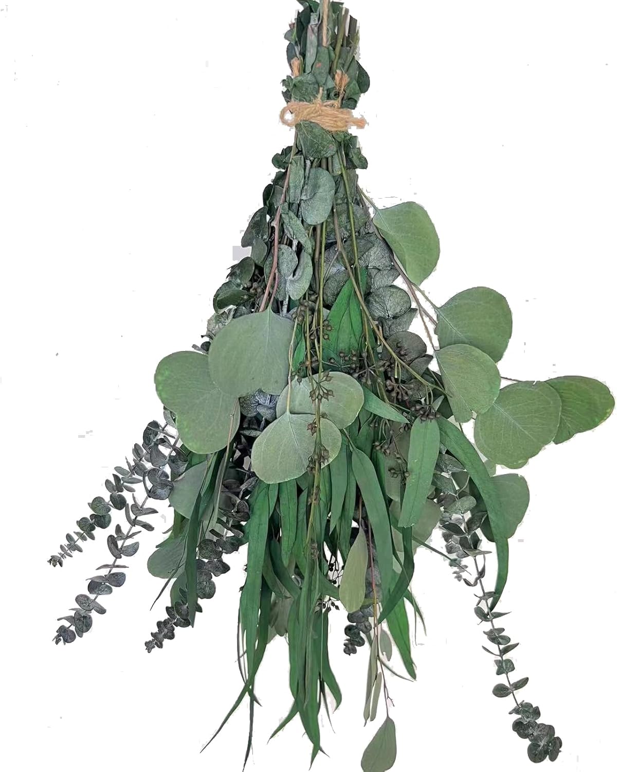 22 PCS Preserved Eucalyptus Shower Plants Bundle