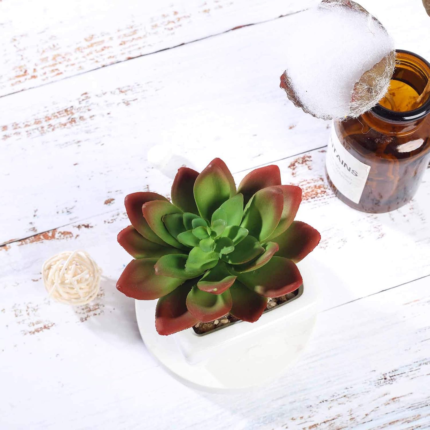 Balsa Circle Artificial Echeveria Plants Set of 3