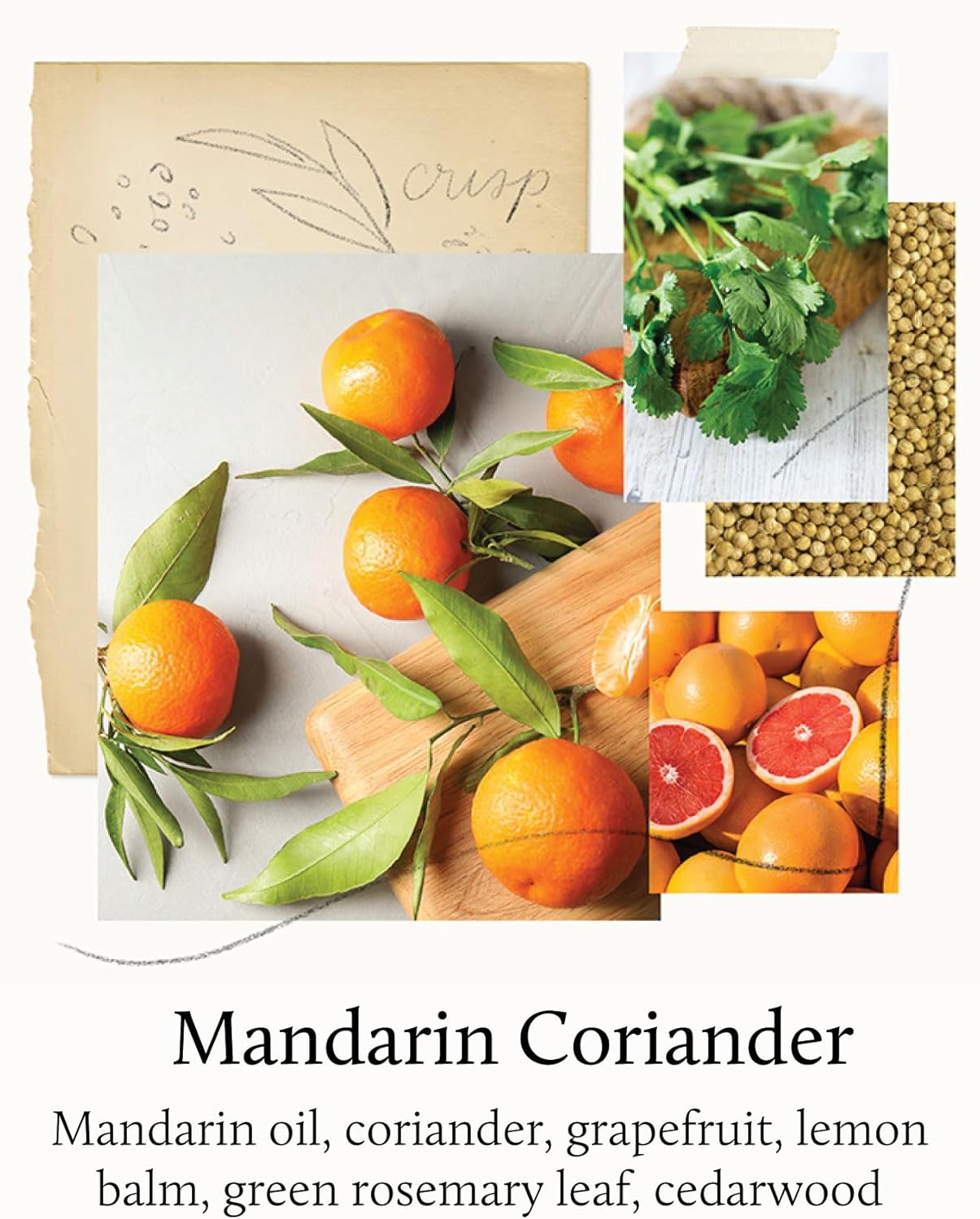 Thymes Citrus Candle - Mandarin Coriander 65 oz