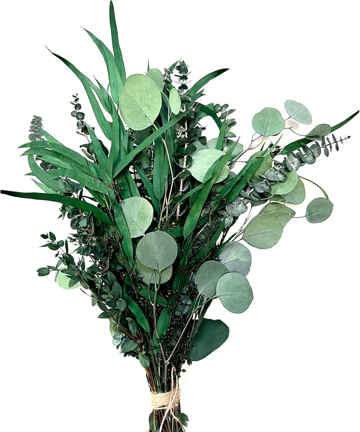 22 PCS Preserved Eucalyptus Shower Plants Bundle